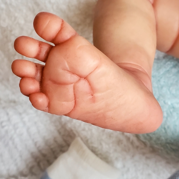 🔴🔴 SOLD 🔴🔴 - Picture 11 of 16